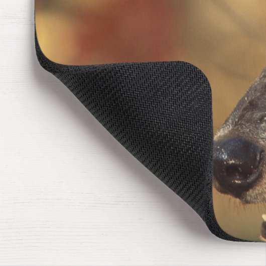 Wolf 2 mousepad (Ecke)