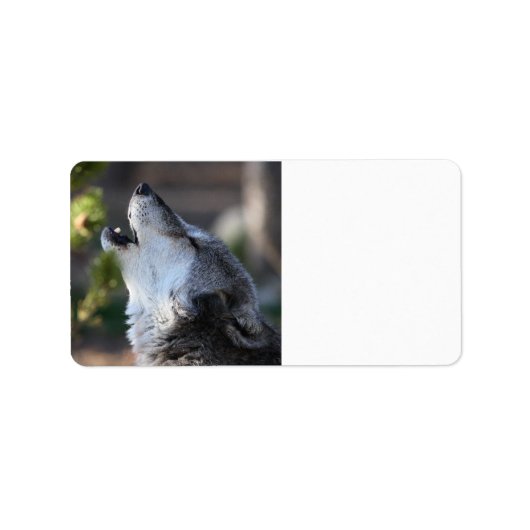 Wolf Adressaufkleber (Vorne)