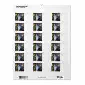 Wolf Adressaufkleber (Vorne)