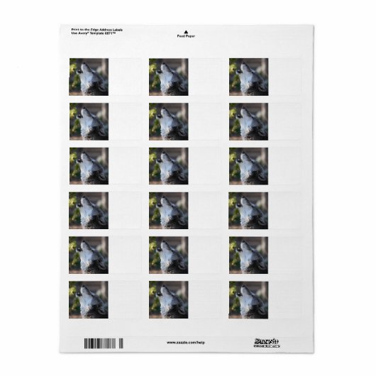 Wolf Adressaufkleber (Vorne)