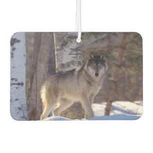 Wolf Air Freshener Autolufterfrischer