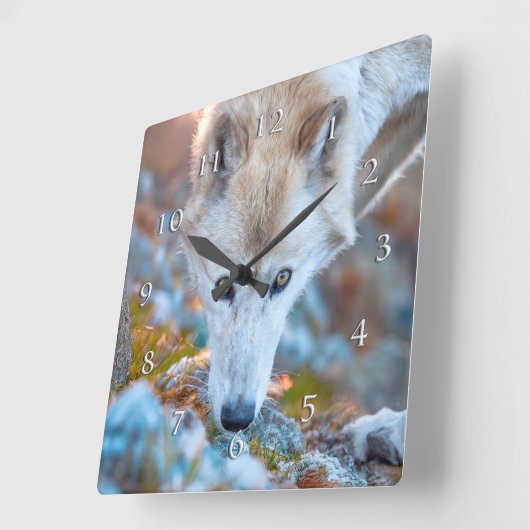 WOLF ALPINE TREKKER QUADRATISCHE WANDUHR (Winkel)