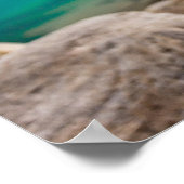 Wolf am Lake Louise, Kanadische Rockies Poster (Ecke)