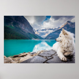 Wolf am Lake Louise, Kanadische Rockies Poster