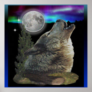 Wolf am Nachtplakat Poster