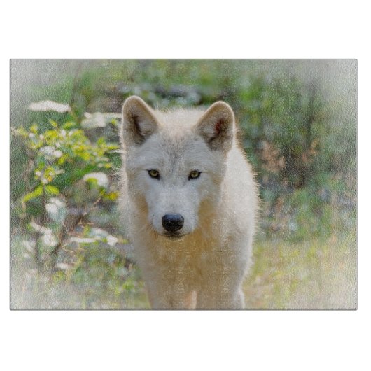 Wolf Animal Art, Kanadische Wildtiere Schneidebrett (Vorderseite)