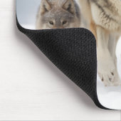 Wolf Animal Family Wandering Nature Out Mousepad (Ecke)
