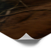 Wolf Animal Nature Majestic Wilderness Poster (Ecke)