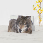 Wolf-Anstarren Karte (Gelbe Blume)