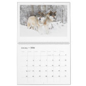 Wolf Art Kalender (Jan 2026)