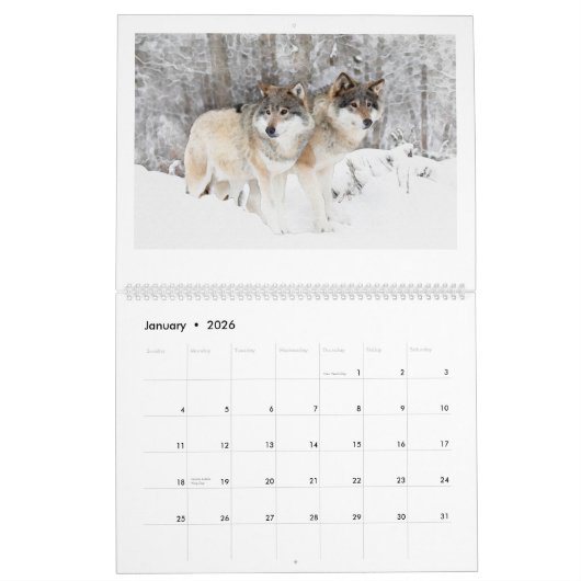 Wolf Art Kalender (Jan 2026)