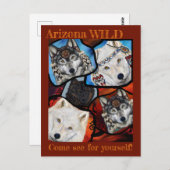 WOLF ART POSTKARTE (Vorne/Hinten)