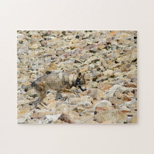 Wolf auf den Felsen Puzzle (Horizontal)