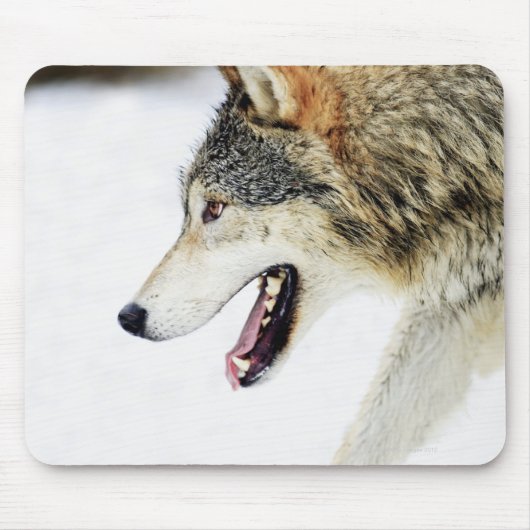 Wolf auf der Kugel Mousepad (Vorne)