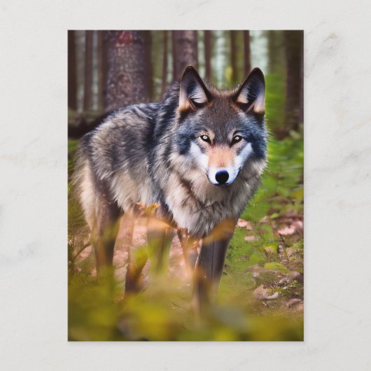 Wolf auf der Waldpostkarte Postkarte (Vorderseite)
