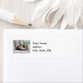 Wolf auf Erholung Rücksendeadresse (Insitu)