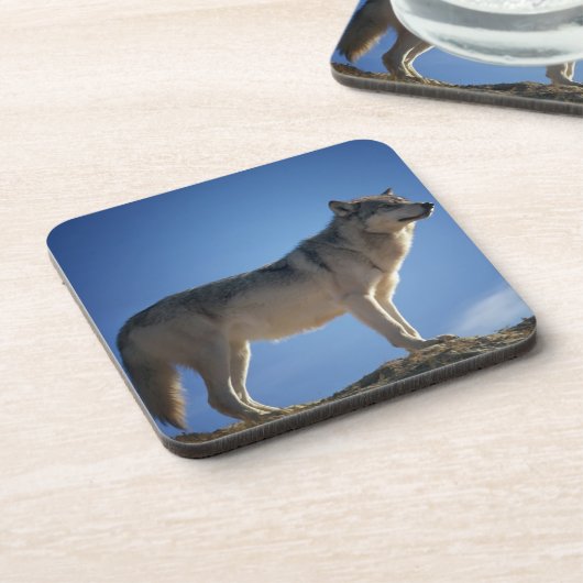 Wolf auf Steinen Untersetzer (Linke Seite)