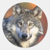 Wolf-Aufkleber Runder Aufkleber (Vorderseite)