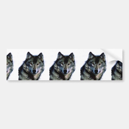 Wolf Autoaufkleber (Vorne)