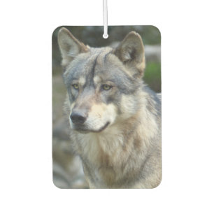 Wolf Autolufterfrischer