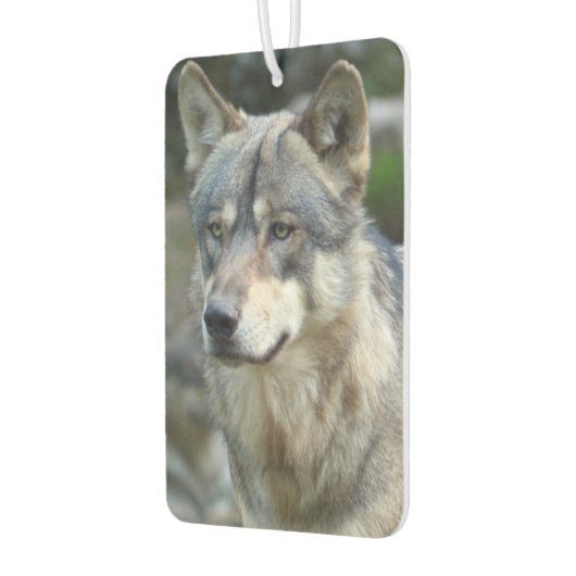 Wolf Autolufterfrischer (Links)