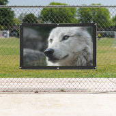 WOLF Banner (Insitu)