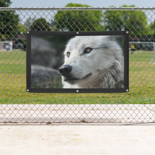 WOLF Banner (Insitu)