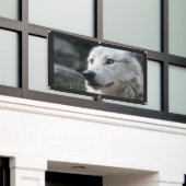 WOLF Banner (Äußeres Gebäude)