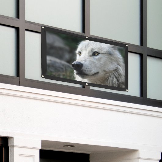 WOLF Banner (Äußeres Gebäude)