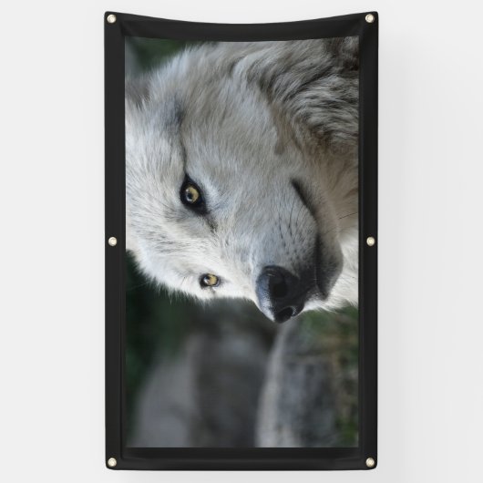 WOLF Banner (Vertikal)