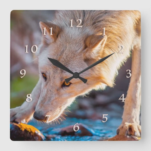 WOLF BERGSTREAM QUENCHER QUADRATISCHE WANDUHR (Vorderseite)