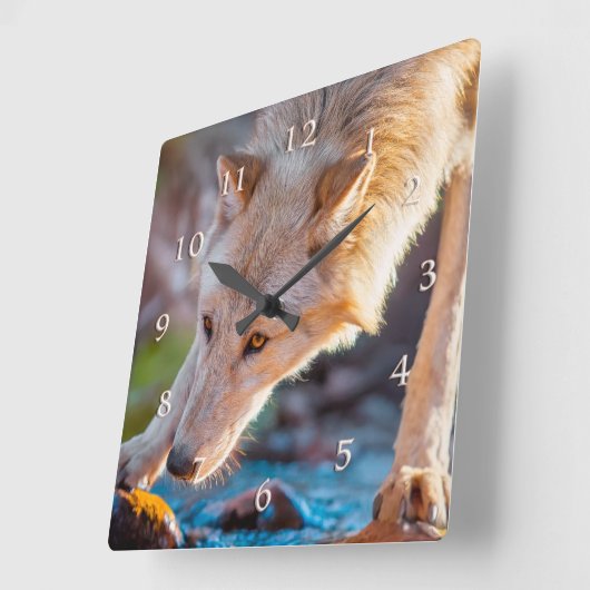 WOLF BERGSTREAM QUENCHER QUADRATISCHE WANDUHR (Winkel)