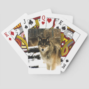 Wolf Bicycle Playing Cards Spielkarten