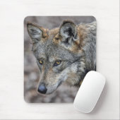 Wolf-Blick-nahes hohes Mousepad (Mit Mouse)