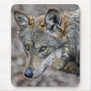 Wolf-Blick-nahes hohes Mousepad