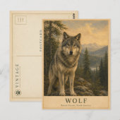 Wolf Boreal Wald VINTAGE Postkarte (Vorne/Hinten)