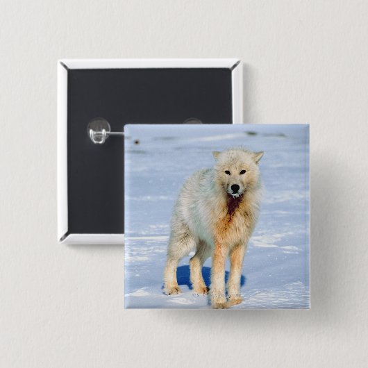 Wolf Button (Vorne & Hinten)