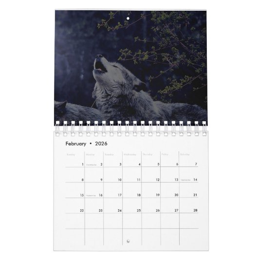 Wolf Calendar Kalender (Feb 2026)