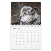 Wolf Calendar Kalender (Mär 2026)