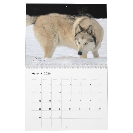 Wolf Calendar Kalender (Mär 2026)