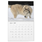 Wolf Calendar Kalender (Mär 2027)