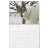 Wolf Calendar Kalender (Jan 2027)