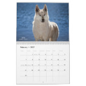 Wolf Calendar Kalender (Feb 2027)
