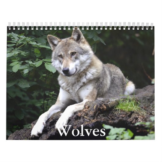 Wolf Calendar Kalender (Titelbild)