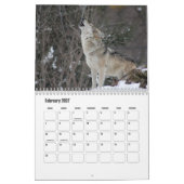 Wolf Calendar Kalender (Feb 2027)