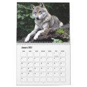Wolf Calendar Kalender (Jan 2027)