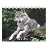 Wolf Calendar Kalender (Titelbild)