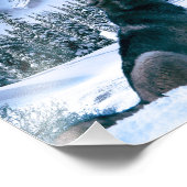 Wolf Call Fotodruck (Ecke)