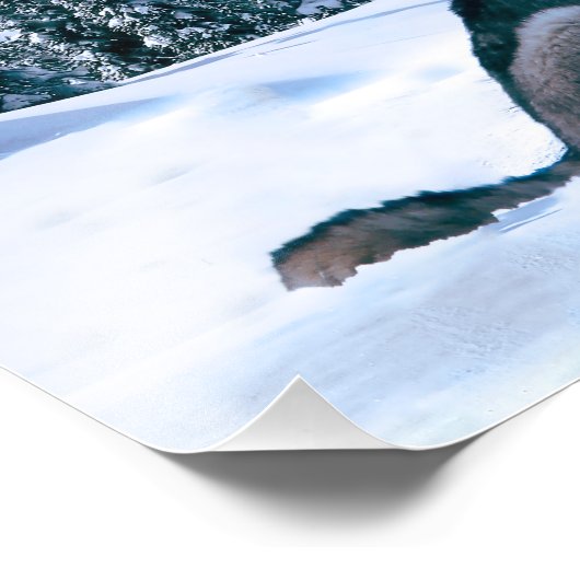 Wolf Call Fotodruck (Ecke)