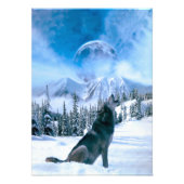 Wolf Call Fotodruck (Vorne)